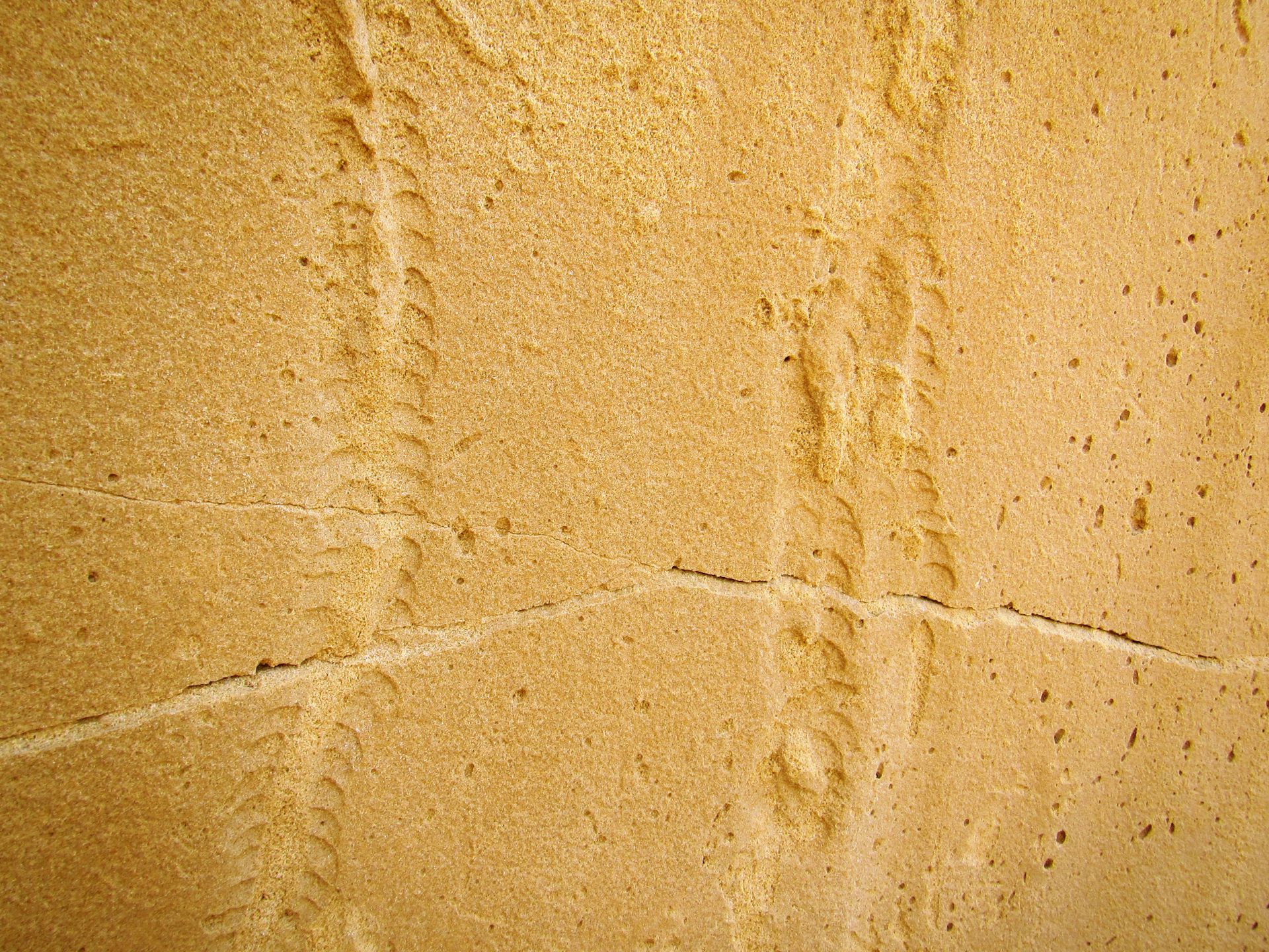 file-20190828-184207-ctfoif.JPG?ixlib=rb-1.1.0&q=45&auto=format&w=600&h=450&fit=crop&dpr=1