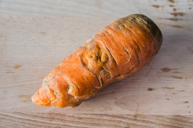 file-20190829-184211-1gxrds6.jpg?ixlib=rb-1.1.0&q=45&auto=format&w=754&fit=clip