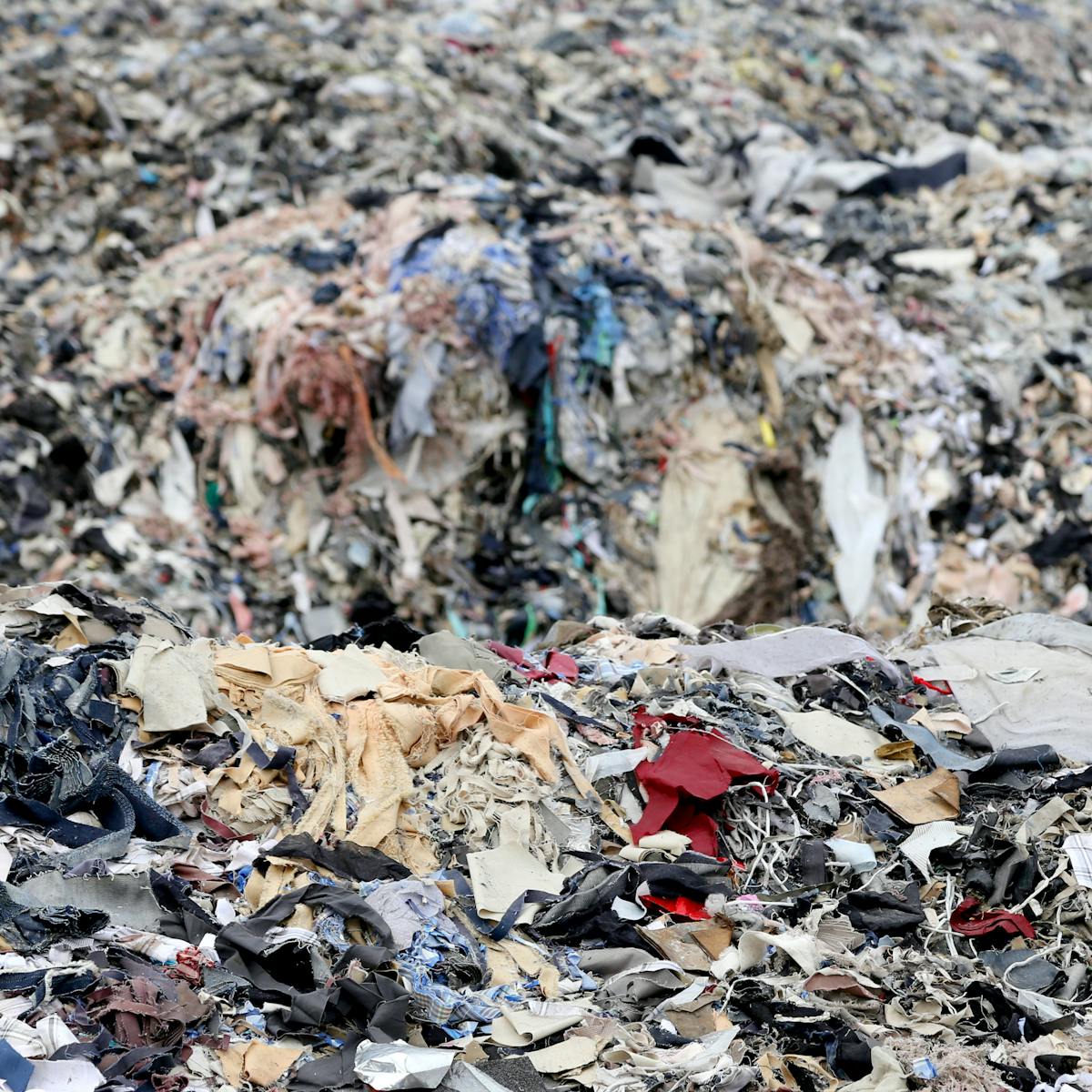 Image result for fast fashion