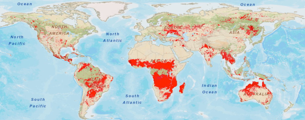El Corazon De Africa Esta En Llamas Pero El Verdadero Problema Es La Sequia