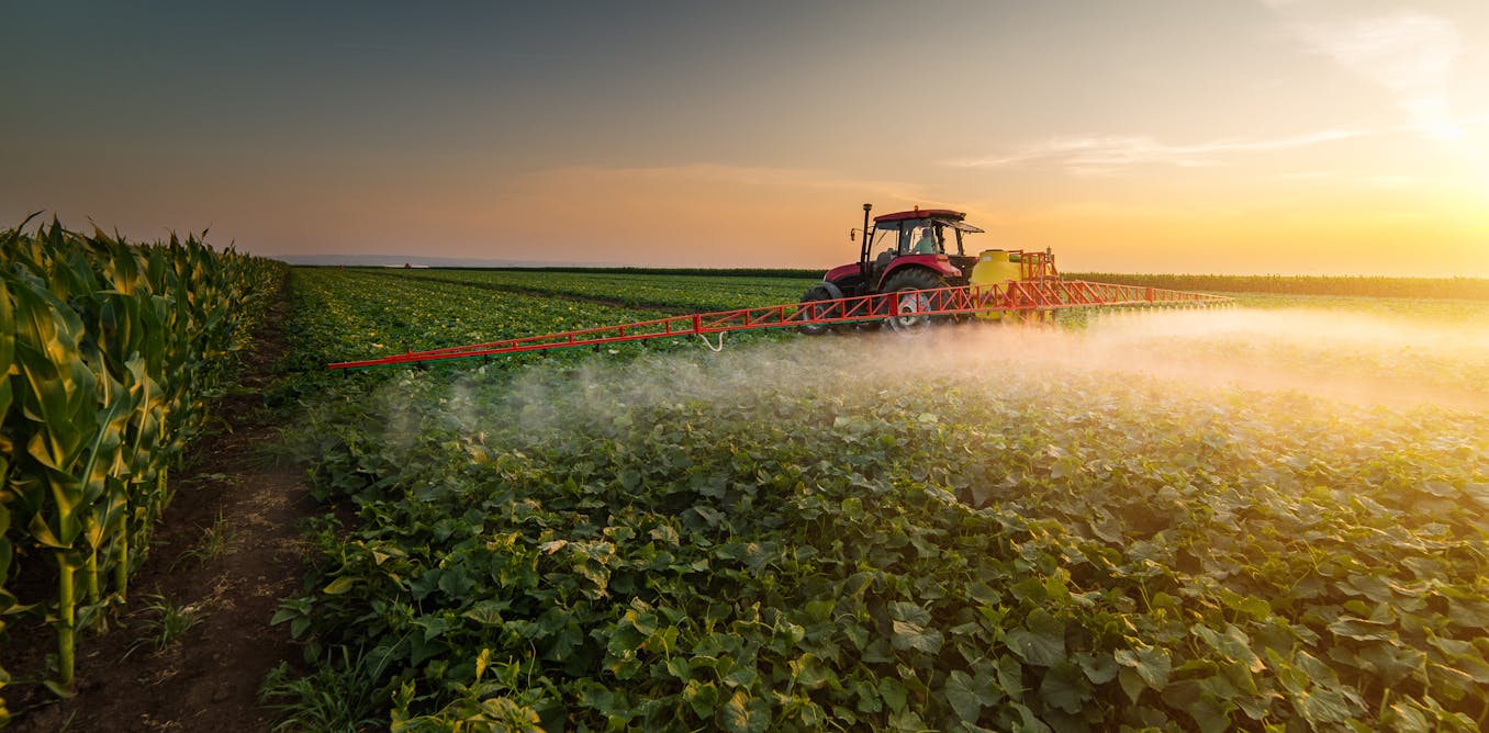 3 ways insecticides can be counterproductive in agriculture