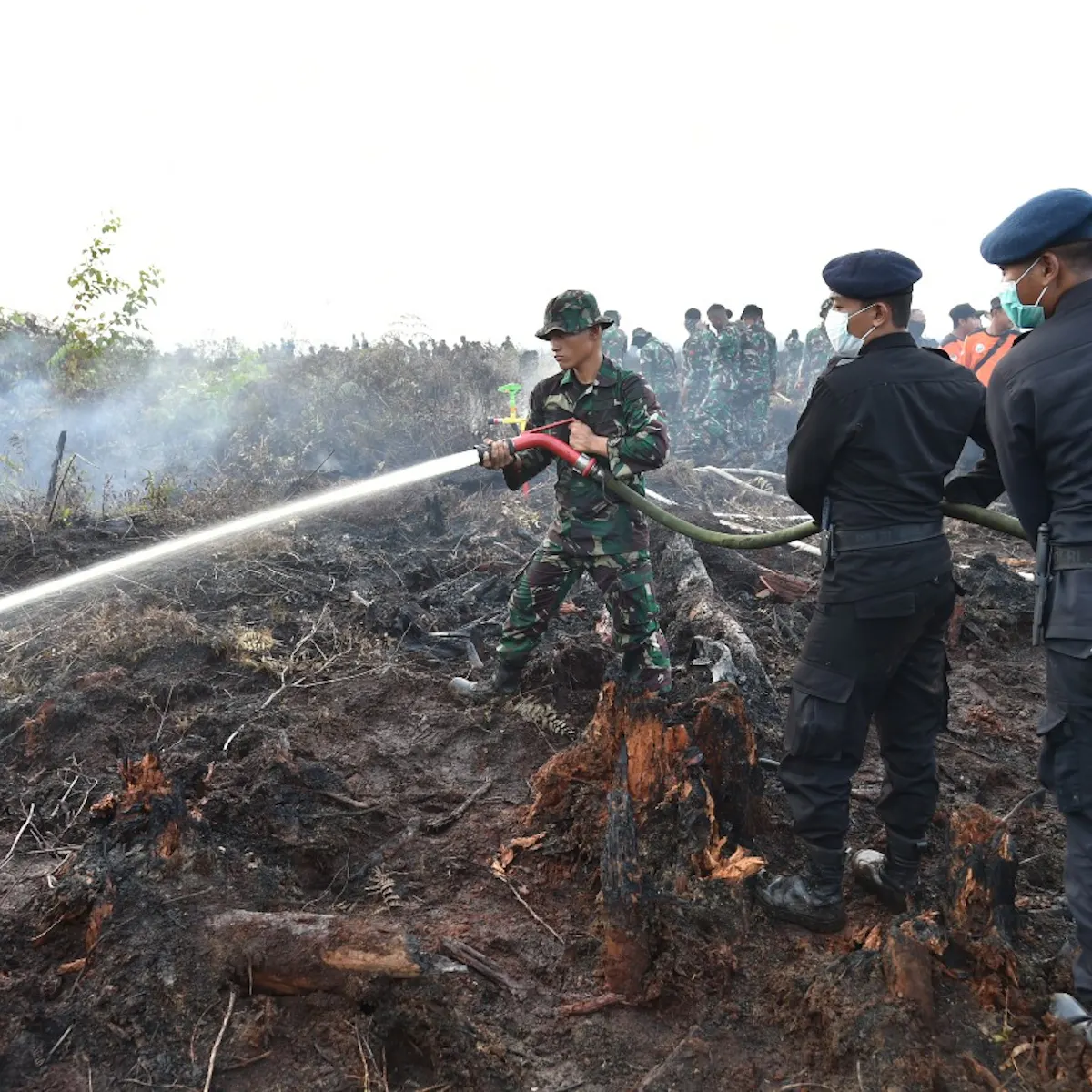 What It Takes To Put Out Forest Fires