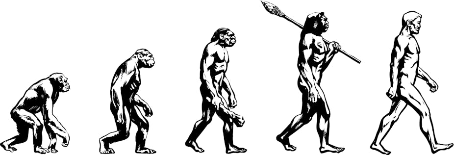 Evolution doesn't proceed in a straight line – so why draw it that