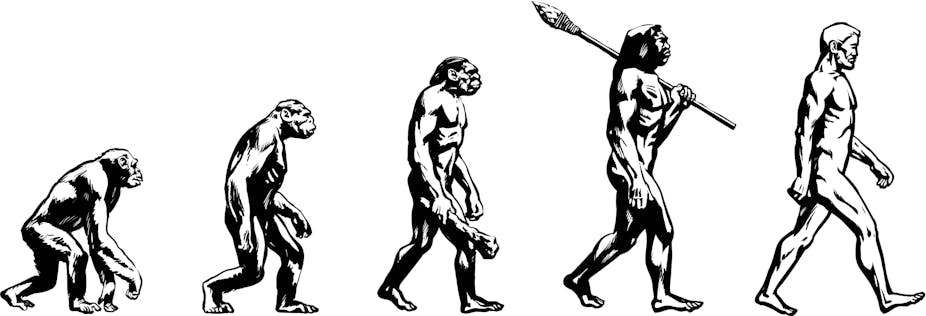 Evolution doesn't proceed in a straight line – so why draw it that way?