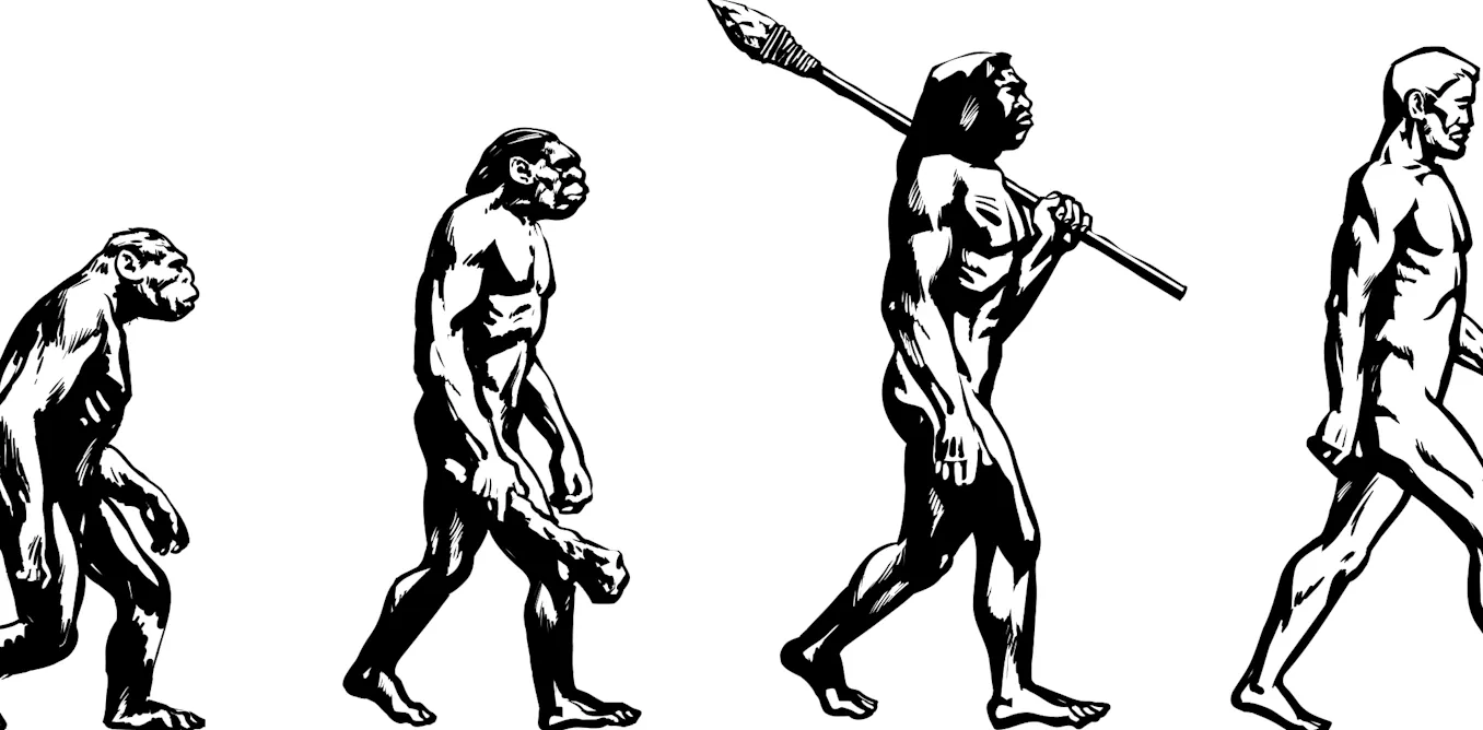 Evolution Draw Detailed Evolution doesn’t proceed in a straight line – so why draw it that way?