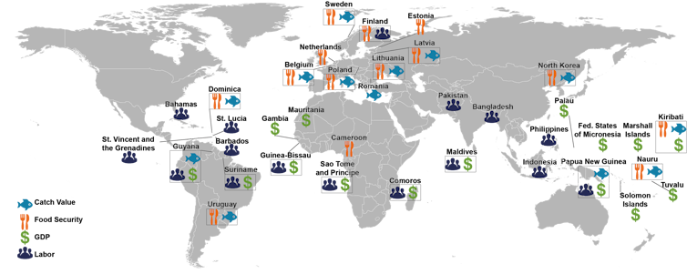 Fish larvae float across national borders, binding the world's oceans in a single network