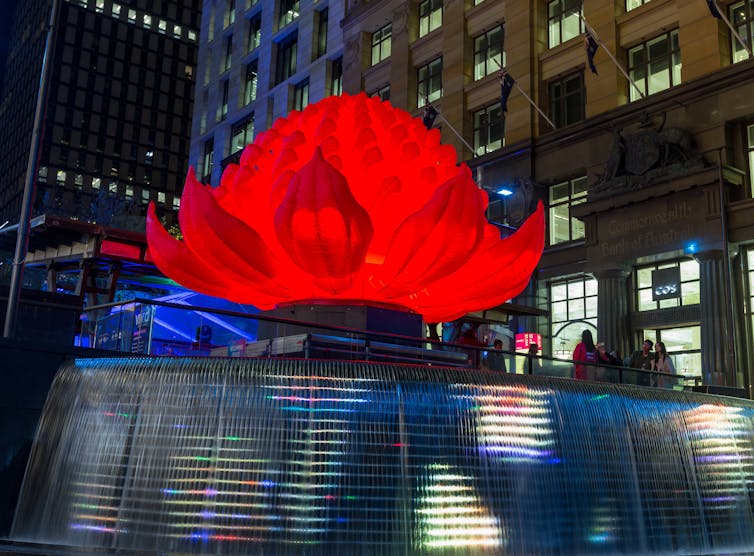 Waratah is an icon of the Aussie bush (and very nearly our national emblem)