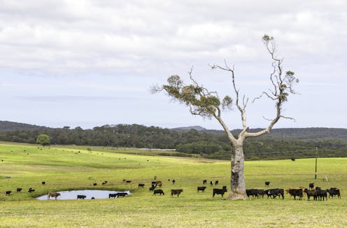 how new tech could allow effective, sustainable land sharing