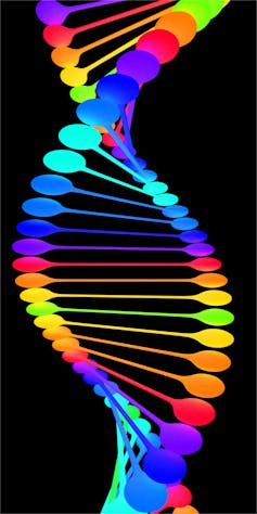 Stop calling it a choice: Biological factors drive homosexuality