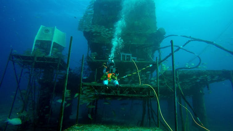 How nine days underwater helps scientists understand what life on a Moon base will be like