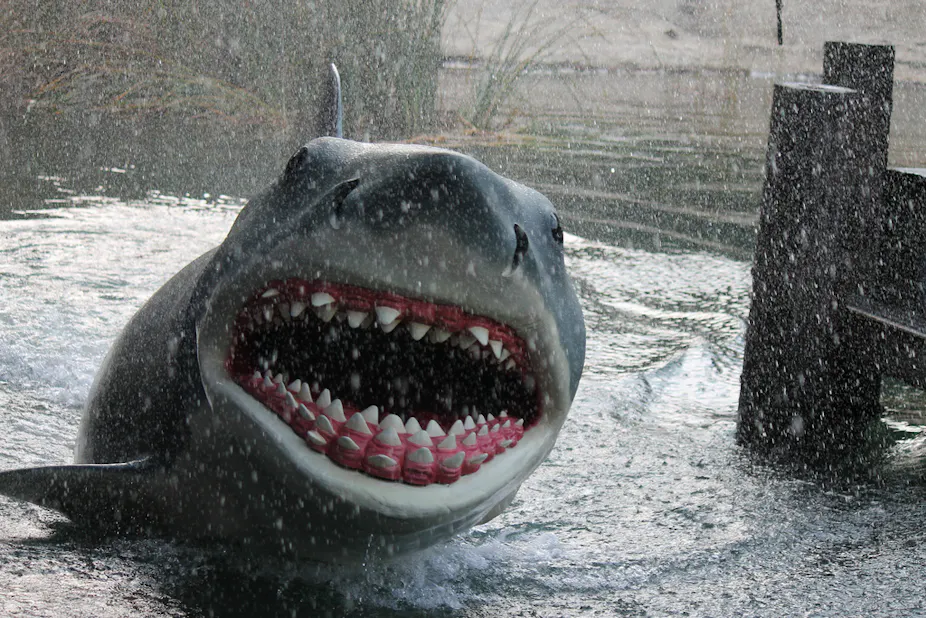 It s Silly Season But There Is A Real Shark Threat To Fear It s silly season but there is a real shark threat to fear
