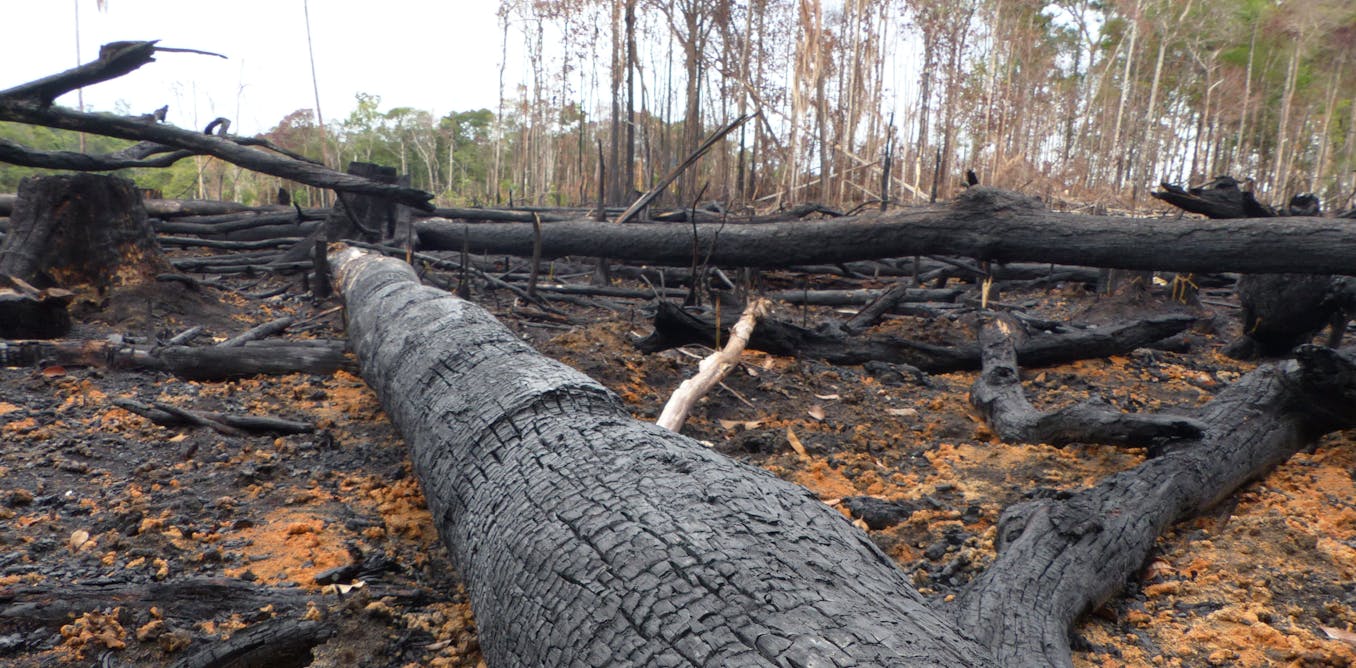 Amazon Fires Deforestation Has A Devastating Heating Impact On The Local Climate New Study
