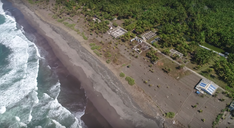 Bagaimana Peneliti Di Jawa Barat Menyelamatkan Pantai Dengan