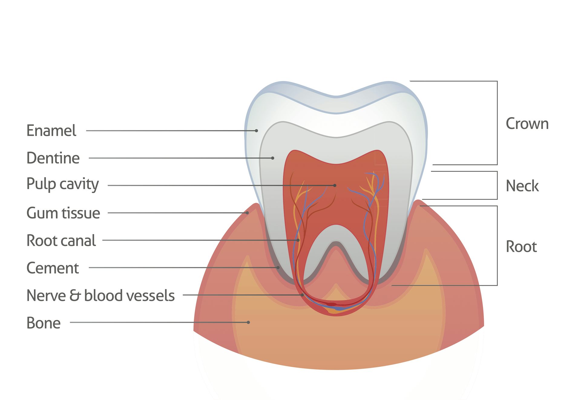 best toothpaste to restore tooth enamel