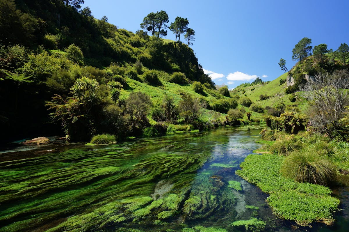 New Zealand launches plan revive the health of lakes and rivers