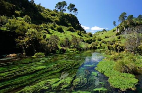 New Zealand launches plan to revive the health of lakes and rivers