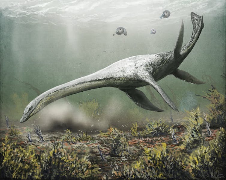 Have scientists finally killed off the Loch Ness Monster?
