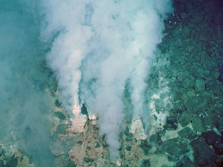 Minerals and carbon dioxide escape from the Earth’s crust into an ocean at this deep-sea vent. NOAA
