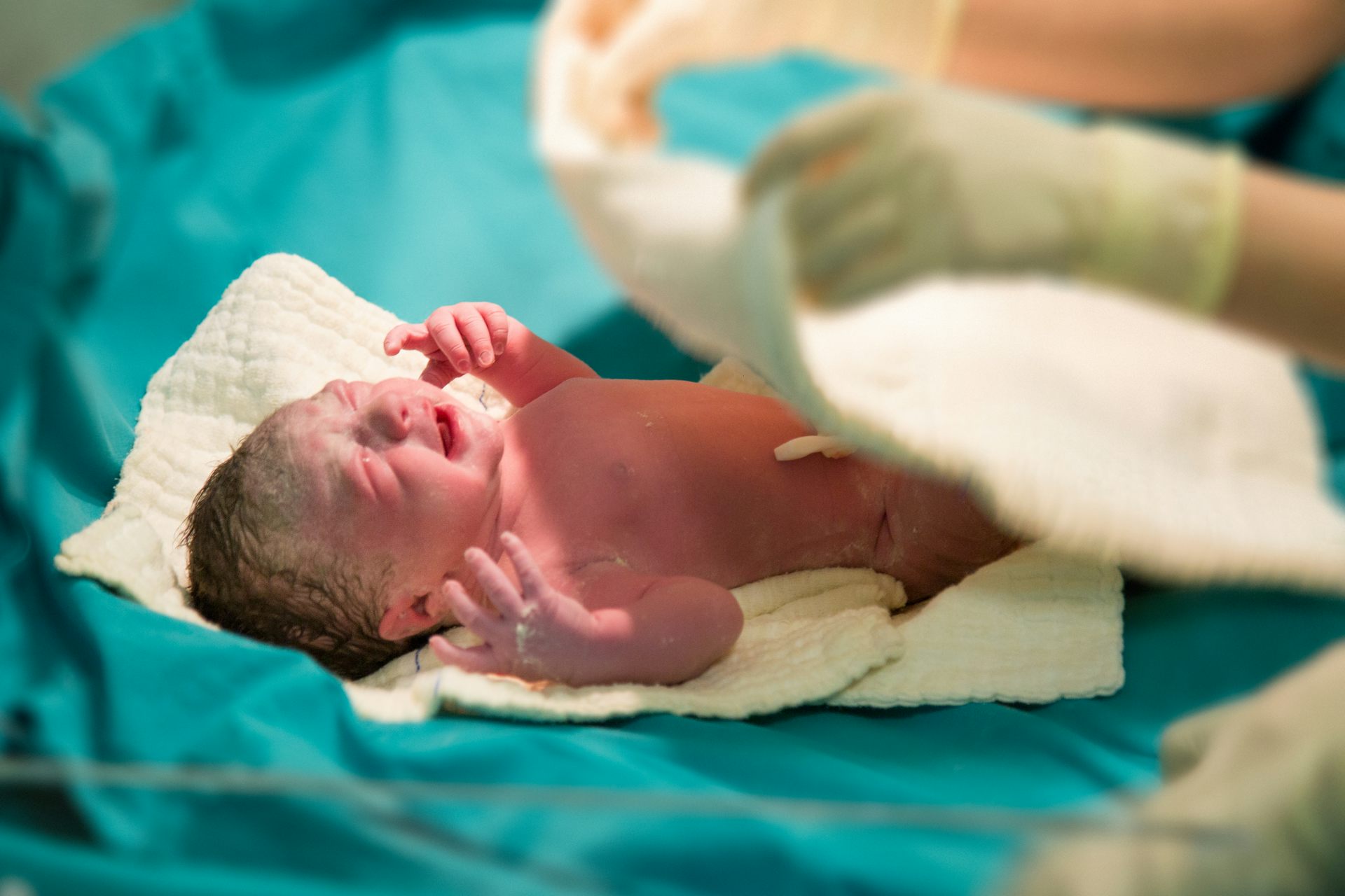 The Womb Isn’t Sterile – Healthy Babies Are Born with Bacteria and Fungi in Their Guts