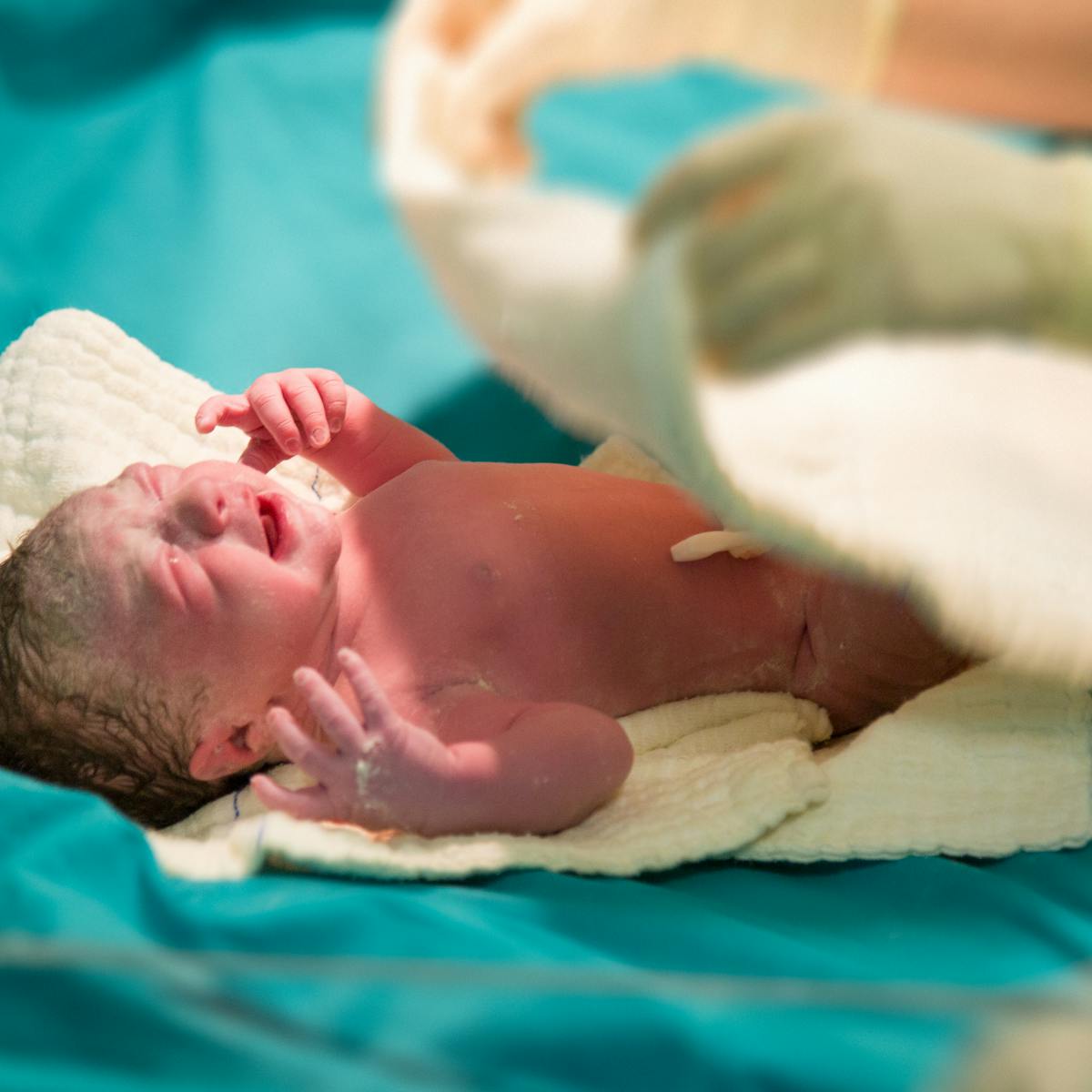 The womb isn't sterile – healthy babies are born with bacteria and fungi in  their guts