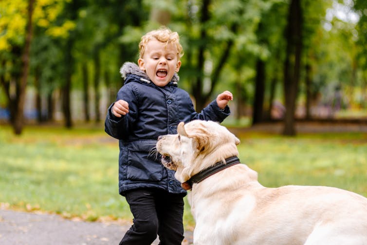 Curious Kids: where do phobias come from?