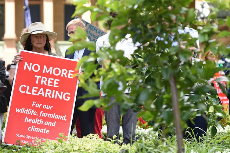 Environment Minister Sussan Ley is in a tearing hurry to embrace nature law reform – and that's a worry