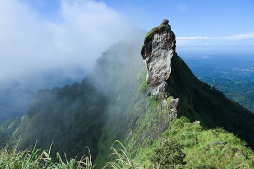 India Must Stop Deforesting Its Mountains If It Wants To Fight Floods