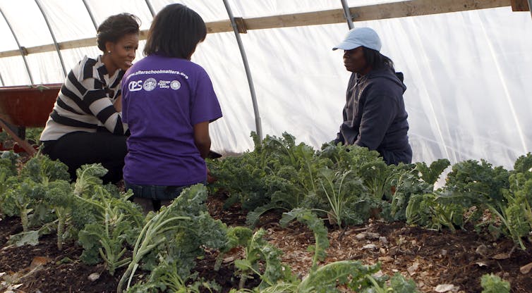 Why community-owned grocery stores like co-ops are the best recipe for revitalizing food deserts