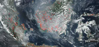 We Built An App To Detect Areas Most Vulnerable To Life Threatening Haze