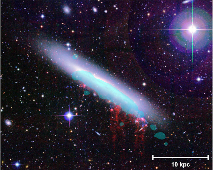 Imagen de la galaxia espiral NGC 4330, perteneciente al Cúmulo de Virgo. El gas caliente despresurizado se muestra en rojo, mientras que la capa azul representa el gas apto para la formación de nuevas estrellas. Fossatie et al. (2018)