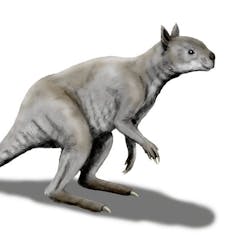 Download Megafauna News Research And Analysis The Conversation Page 1 For iPhone Free Wallpaper Megafauna News Research And Analysis The Conversation Page 1 For Free