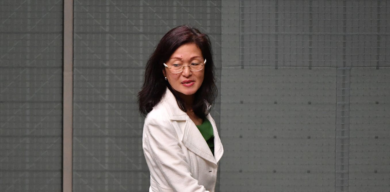 Liu defends herself after concerns about her Chinese associations