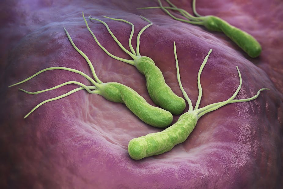A stomach bacteria threatens Nairobi's residents. What can be done to