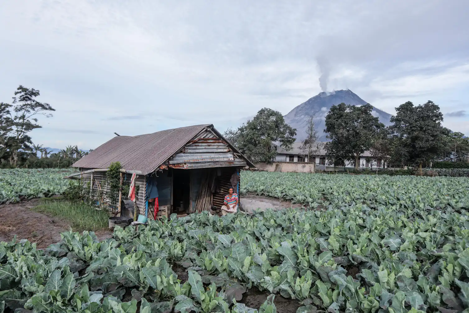 Volcanoes kill more people long after they first erupt – those deaths ...