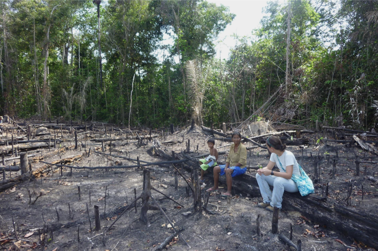 How fires weaken Amazon rainforests' ability to bounce back