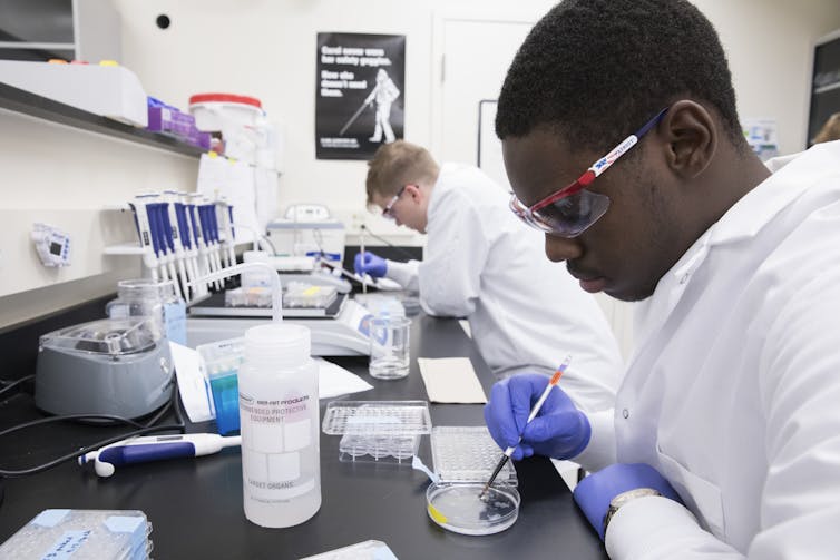 At these colleges, students begin serious research their first year