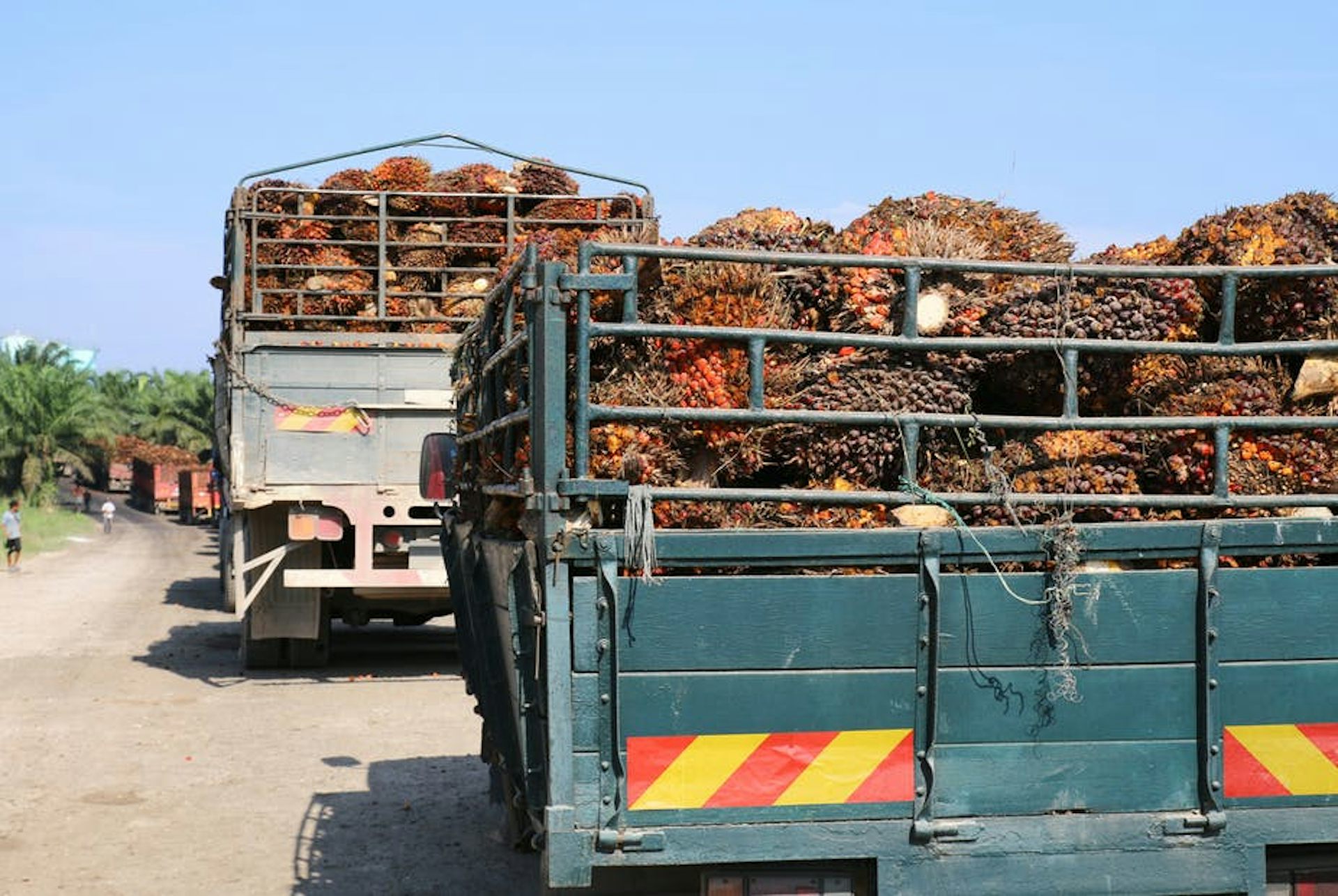 Cara Membuat Pabrik Kelapa Sawit Mini - Belajarsoallinks