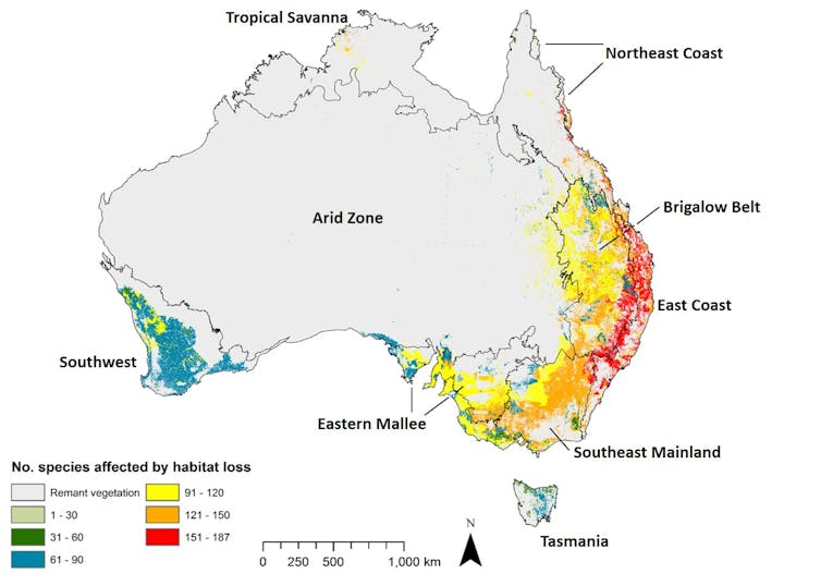 Most native bird species are losing their homes, even the ones you see every day