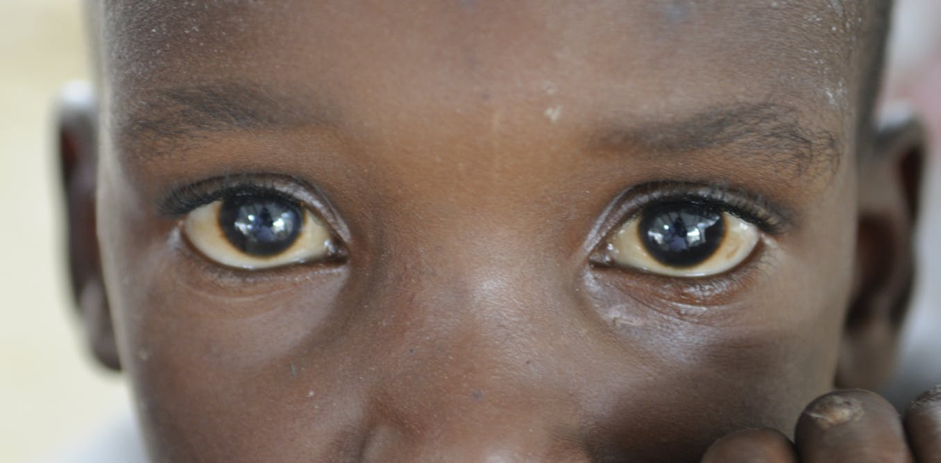 They Put A Few Coins In Your Hands To Drop A Baby In You 265 Stories Of Haitian Children Abandoned By Un Fathers They Put A Few Coins In Your Hands To Drop A Baby In You 265 Stories Of Haitian Children Abandoned By Un Fathers