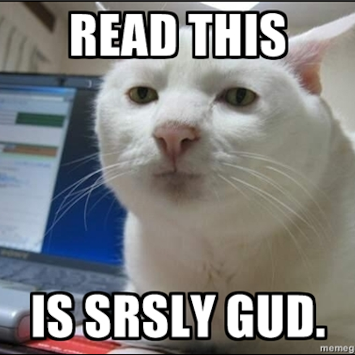 Obama Norway Killings London Riots You Can Has A Meme For That