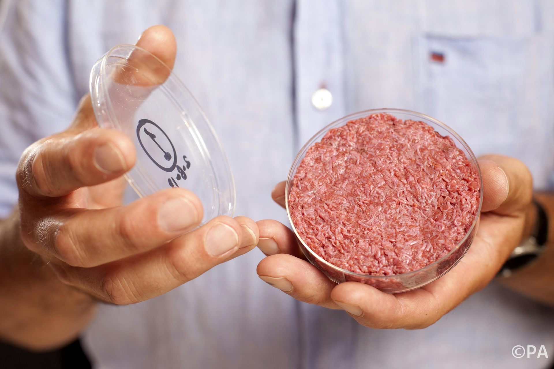 Eight questions that need answers about lab-bred meat