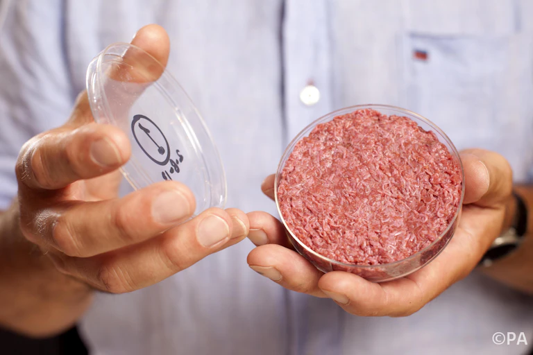 Eight questions that need answers about lab-bred meat