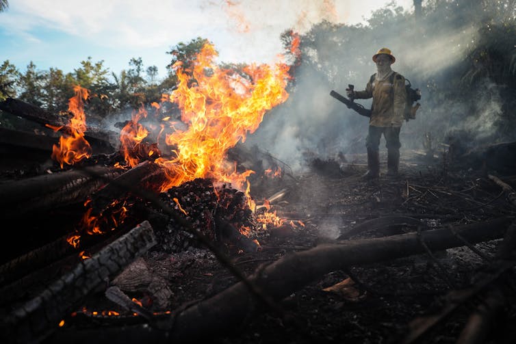 The good, the bad and the ugly: the nations leading and failing on climate action