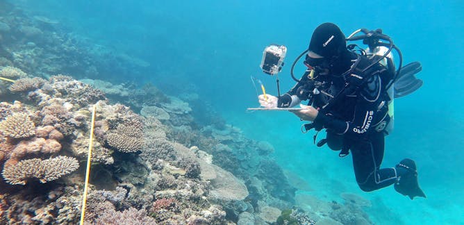 Great Barrier Reef Marine Park News Research And Analysis The Conversation Page 1 Great Barrier Reef Marine Park News Research And Analysis The Conversation Page 1