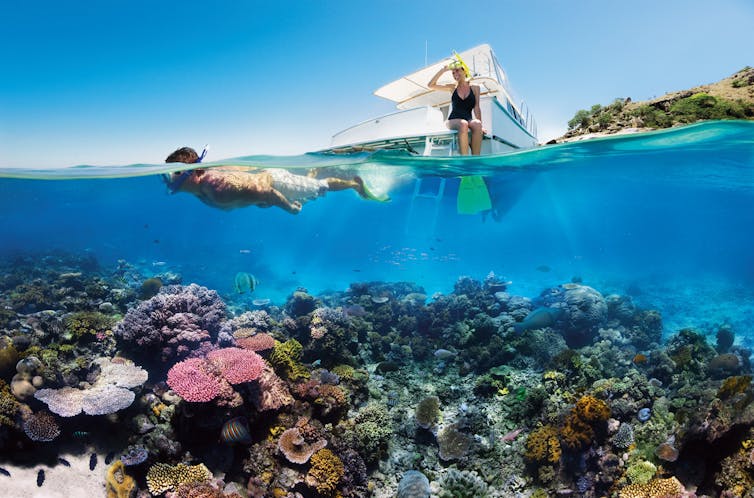 'This situation brings me to despair': two reef scientists share their climate grief