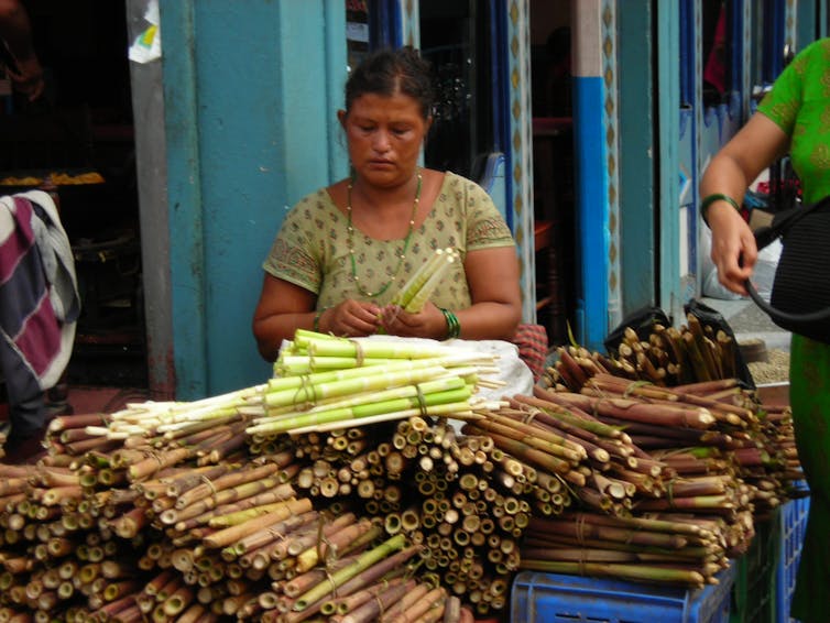 'Edible forests' can fight land clearing and world hunger at the same time