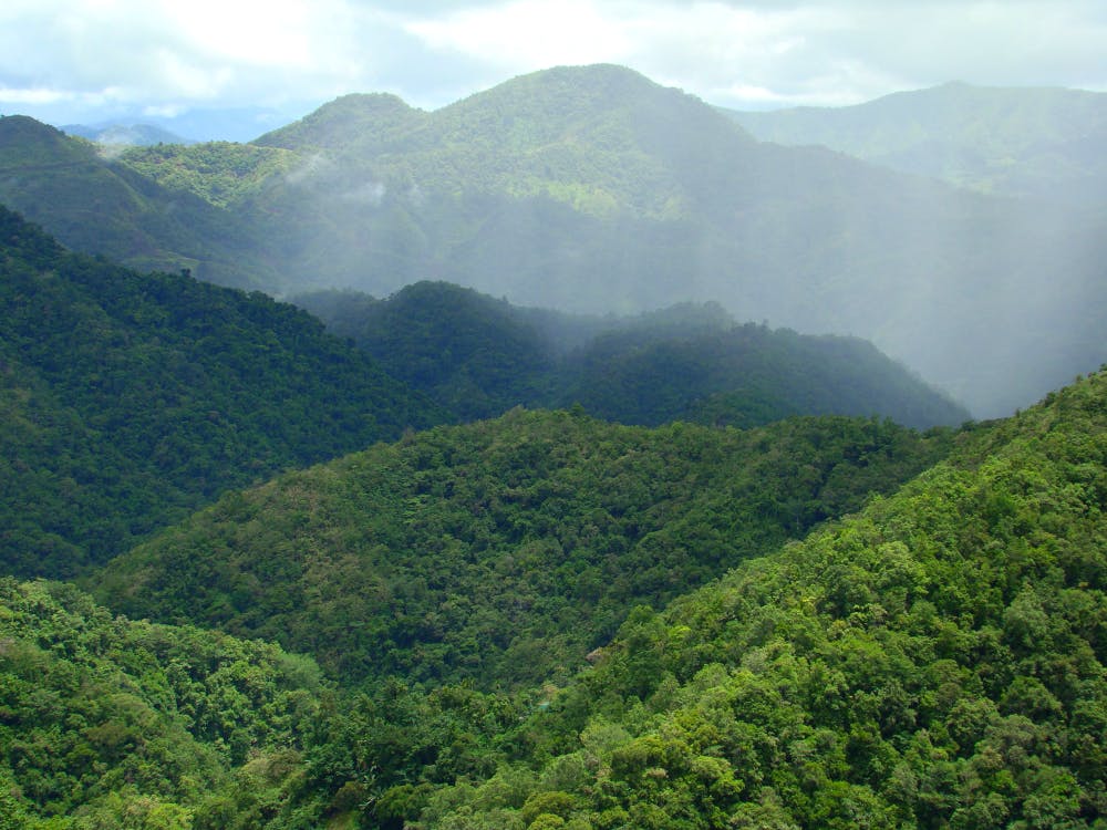 To establish a ‘mass extinction’, we first need to know what a normal rate of species loss is. from www.shutterstock.com Image