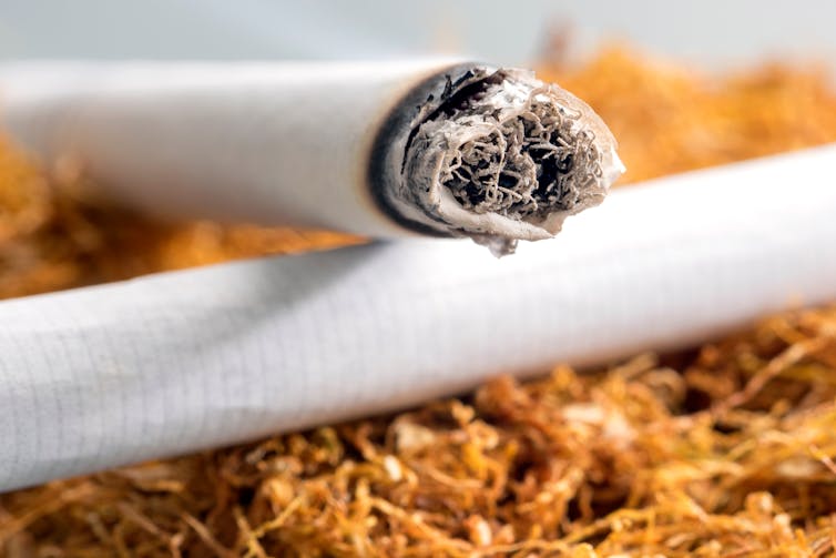 From smoking to vaping: Why do we abuse our lungs?