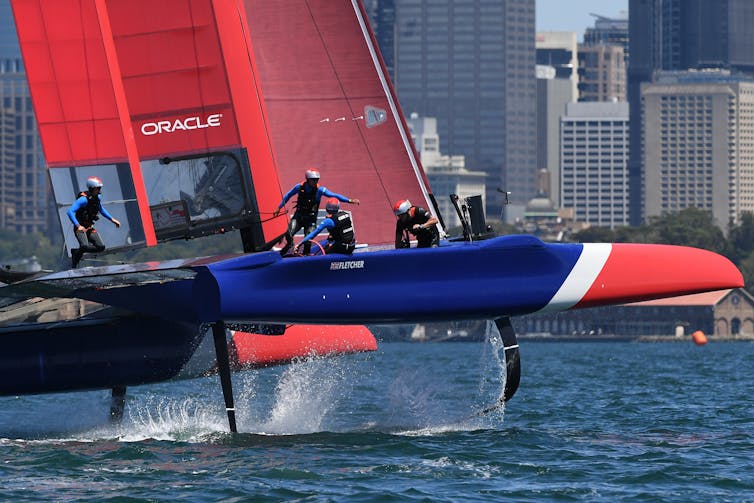 foil catamaran racing sydney