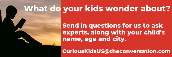 Click here to send your kids' questions to Curious Kids